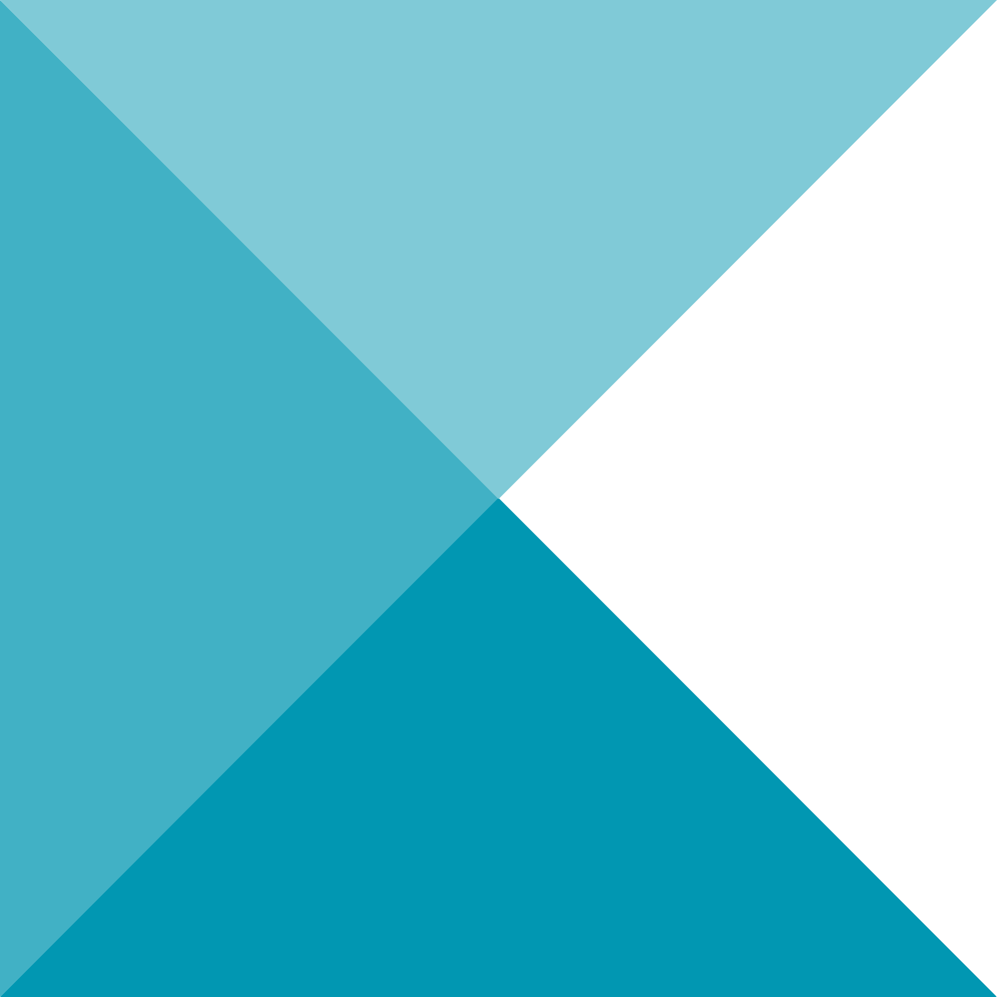 Coastal Hosting logo